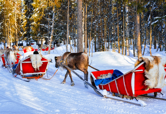 Levi - Rovaniemi & Santa Claus Village - Christmas